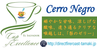 CerroNegro.png
