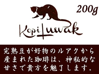 KopiLuwak_2018.jpg