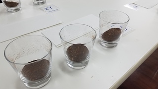 20190710_135106.jpg