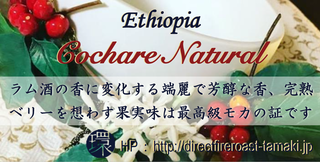 CochareNatural.png