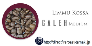 GALEH_M (1).png