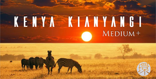 KIANYANGI.png