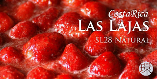 LasLajas.png
