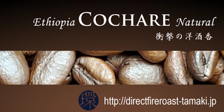 cochare2019.png
