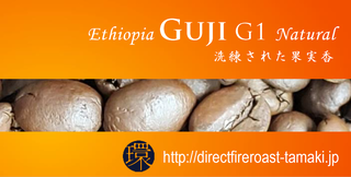 guji2019.png